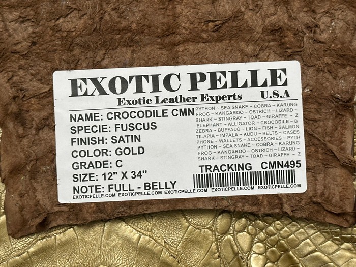 Low Grade Gold Caiman Crocodile belly Hide Leather Skin real alligator Croc 495