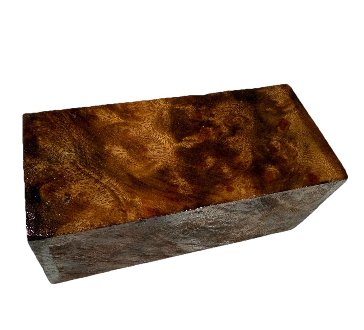 Camphor Burl wood turning blank 2-1/2″ x 2-1/2″ x 5-5/8″ (m27) Dried