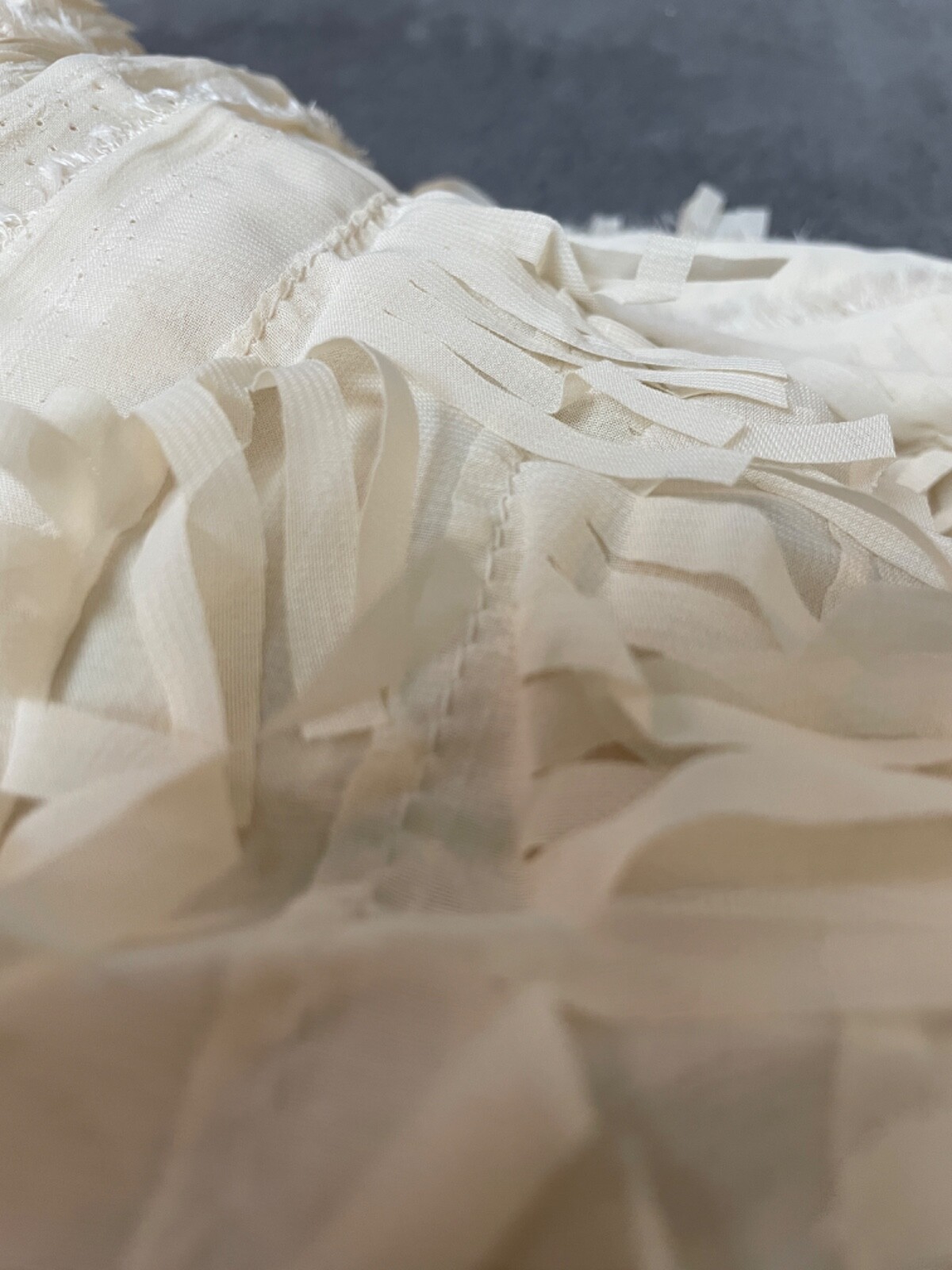 Fabric Lot 2 Yds 56 W Apparel Laser Cut Beige Vanilla Fringe Sheer Organza