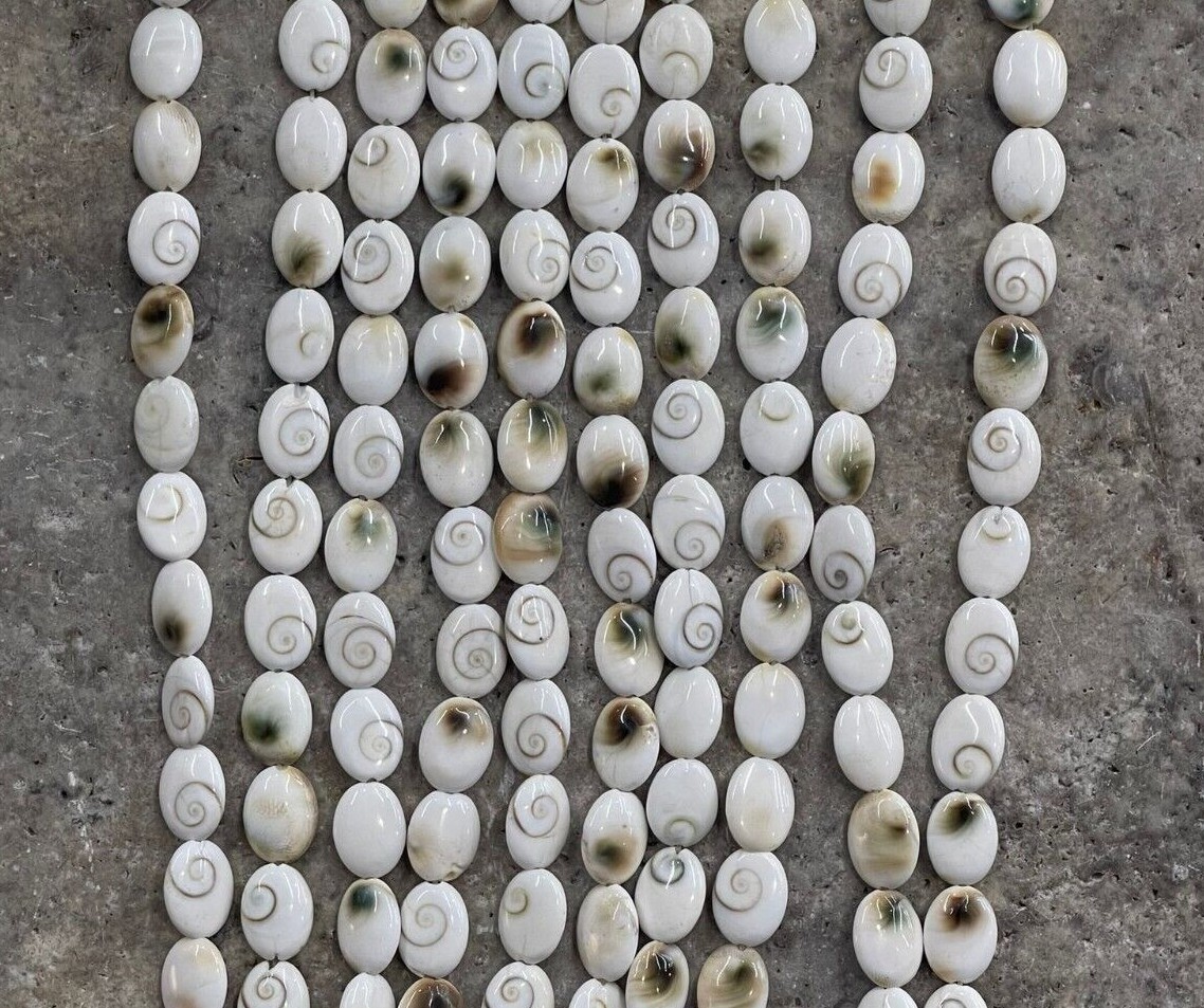 Shiva Shell, Pacific Cat’s Eye Shell, Operculum, Gastropod Oval 12x14mm, 12x16mm