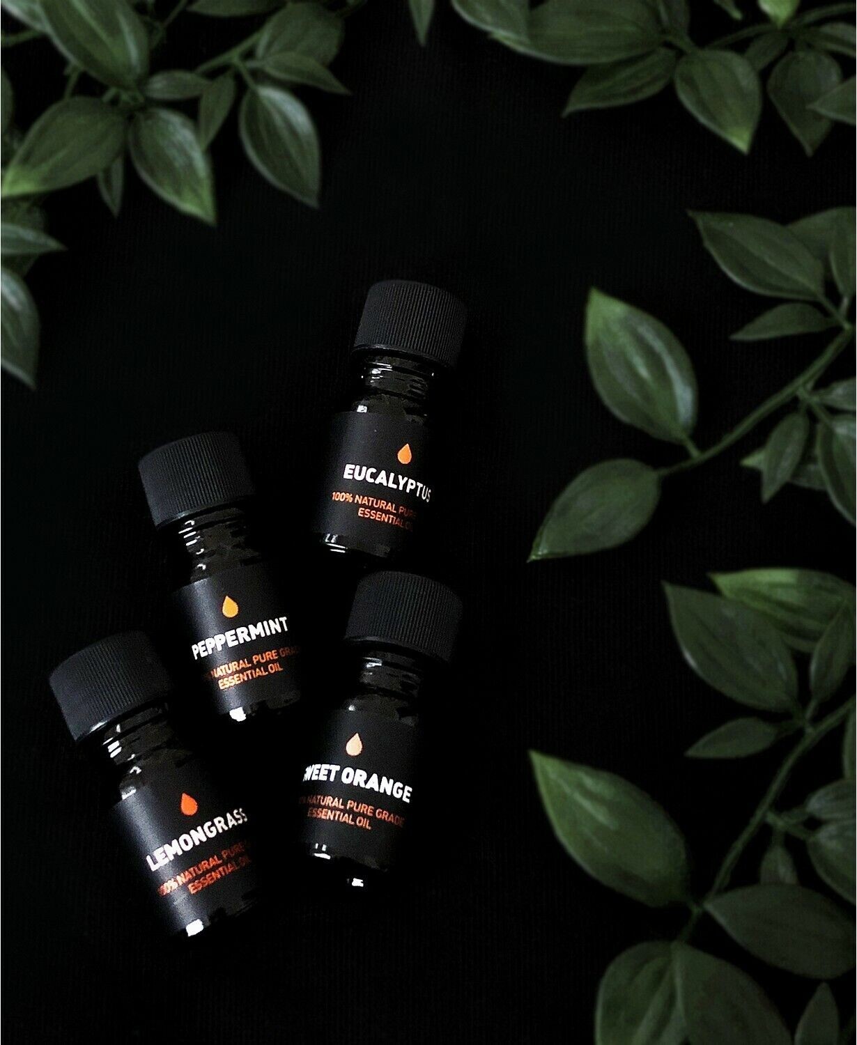 Way Of Will 4-Pc Elevate Essential Oil Gift Set Eucalyptus Lemongrass Peppermint