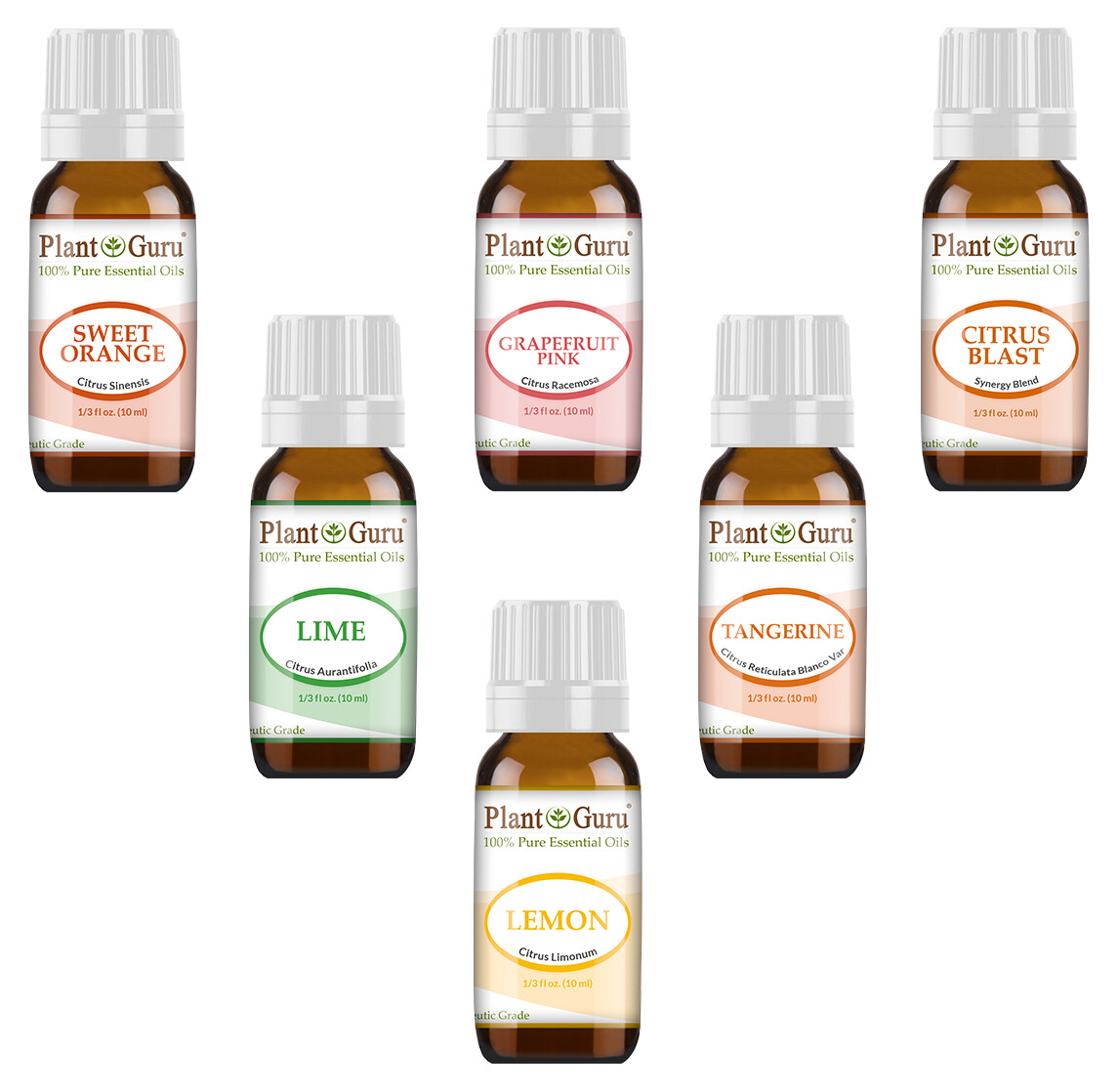 Citrus Essential Oil Set 6 -10ml 100% Pure Natural Therapeutic Grade Oils, Blend