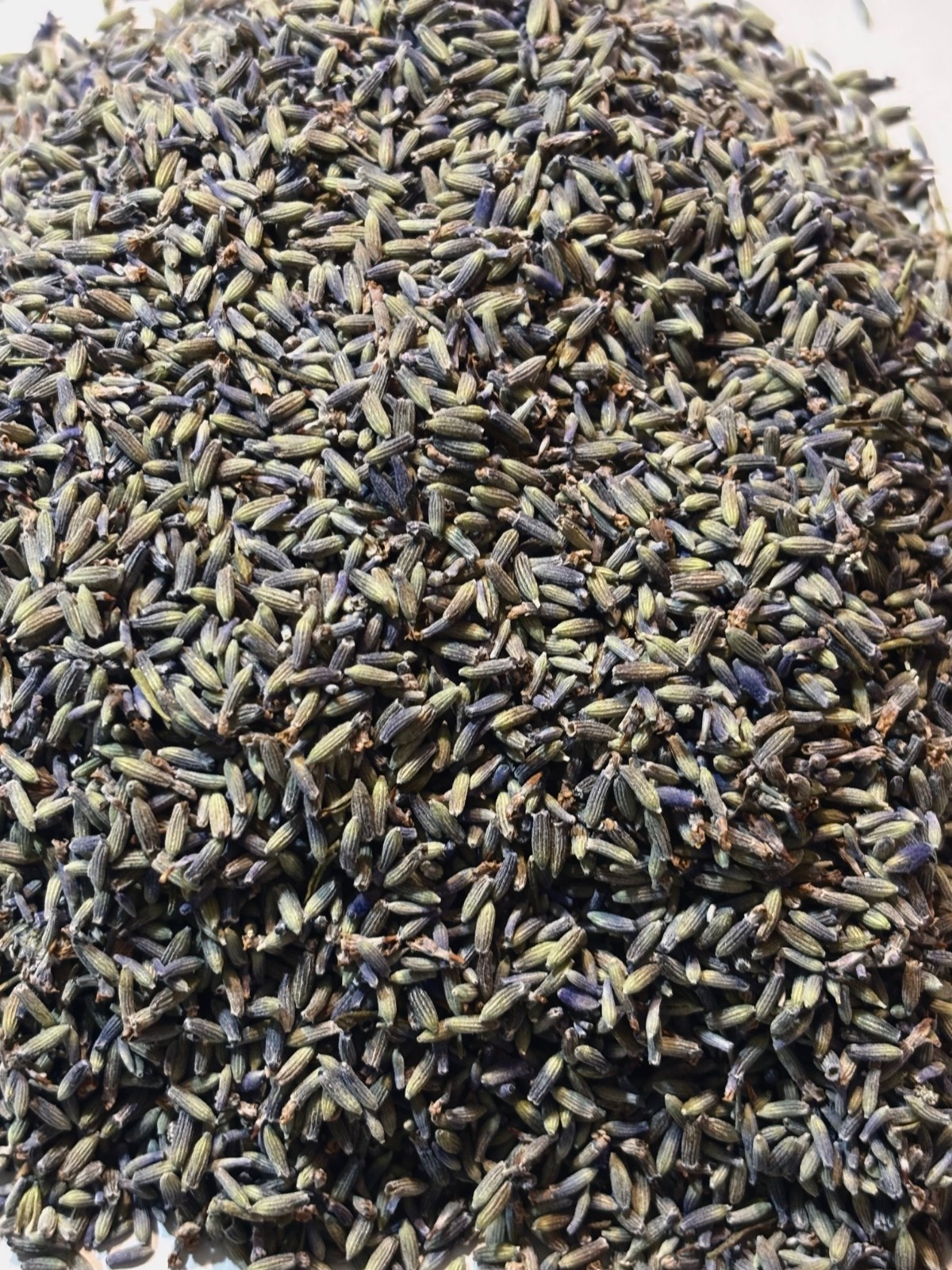 Fresh Dried Lavender (1 pound) Buds from GROSSO (French Variety) strong aroma