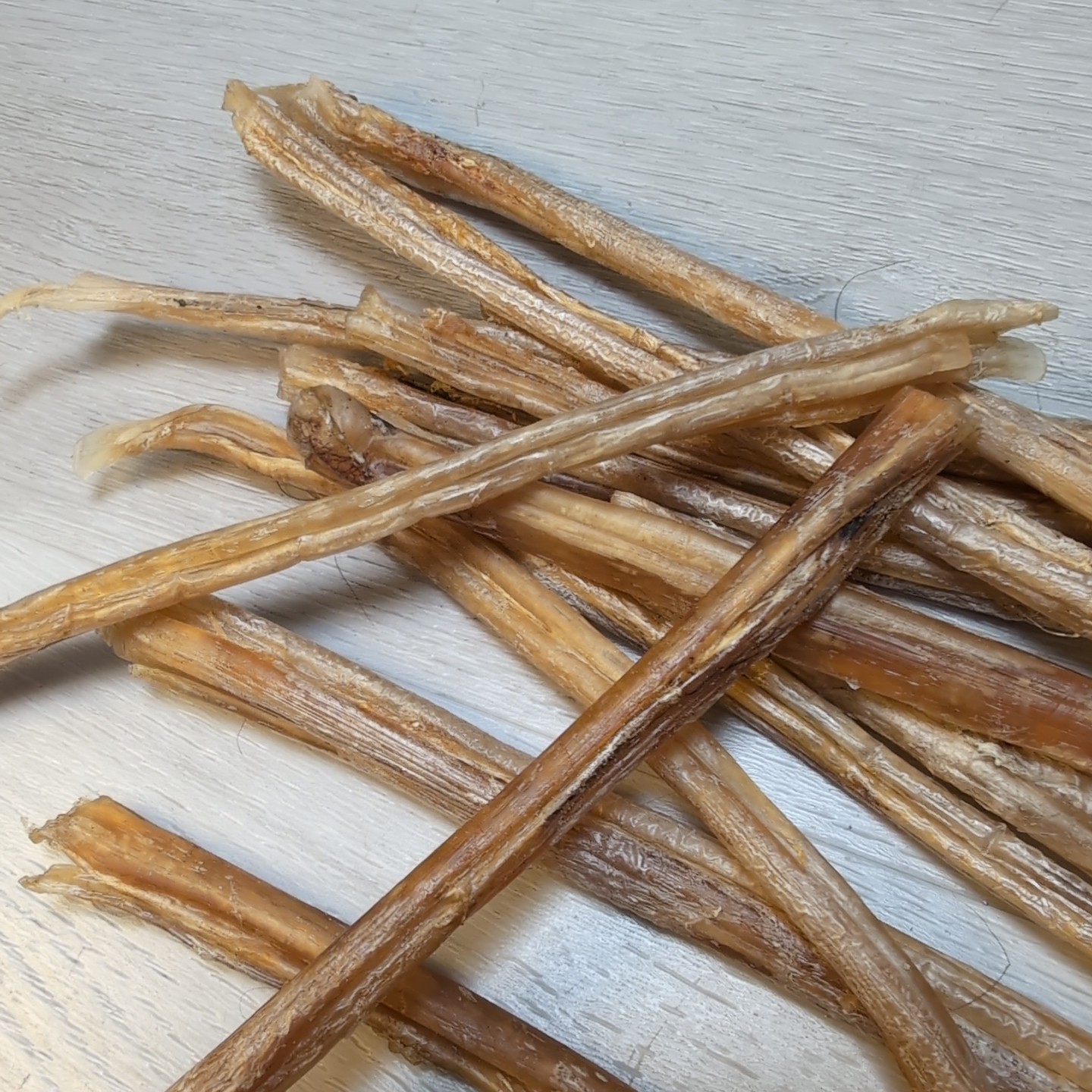 (Lot 15) Deer Leg Sinew Genuine Primitive Crafts Bow Arrow Native Authentic USA