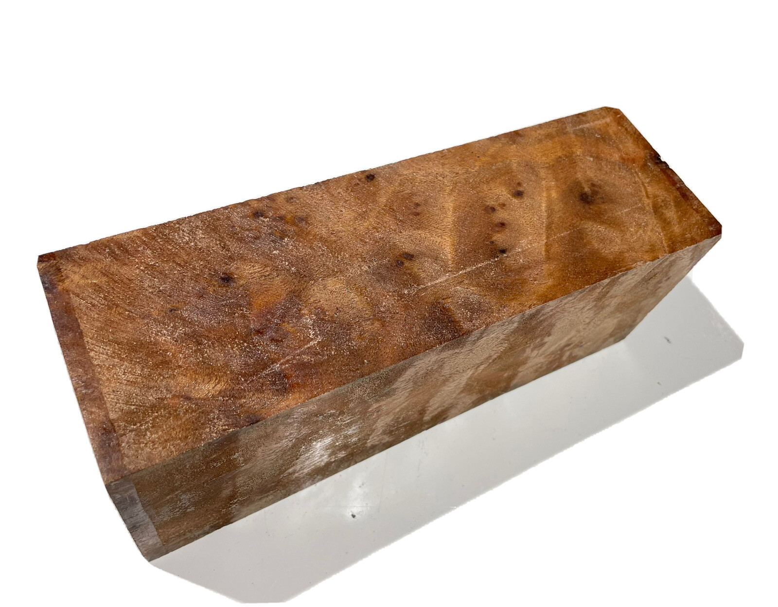 Camphor burl wood block 2-7/8″ x 3-1/2″ x 9-1/8″ (q64) Dried Burl Turning Blank