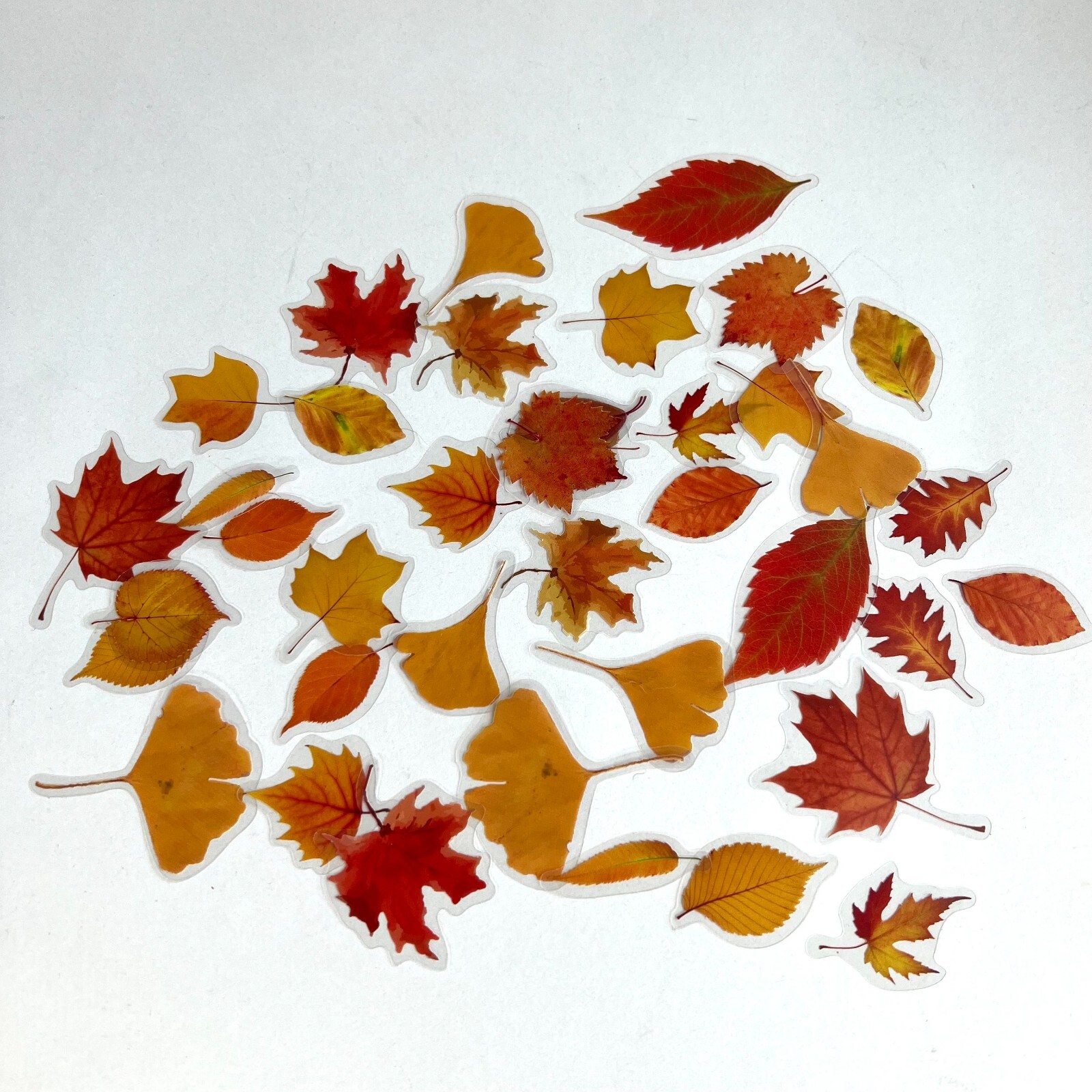 Autumn Fall Leaf Stickers Oak Maple Leaves Journaling Scrapbooking Planner