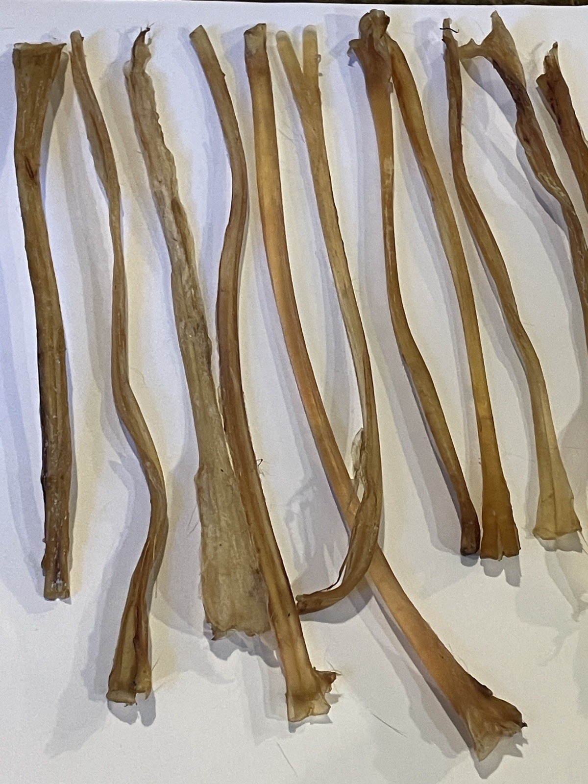 Deer Leg Sinew 11 Pieces Genuine Primitive Crafts Bow Arrow Native Authentic US