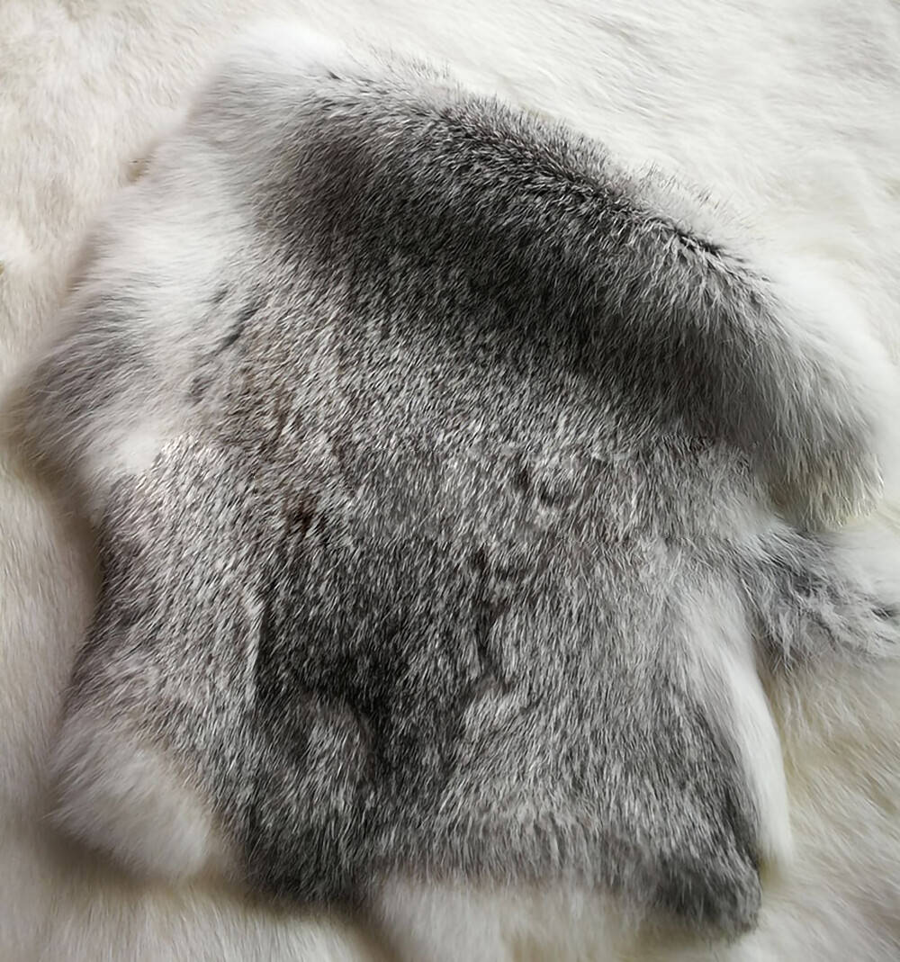 High Quality Soft Natural Gray Rabbit Skin Pelt Real Fur Craft Decro 8-14” US