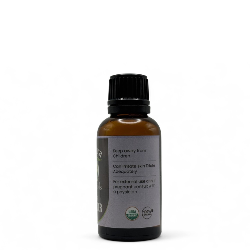 Lavender Essential Oil