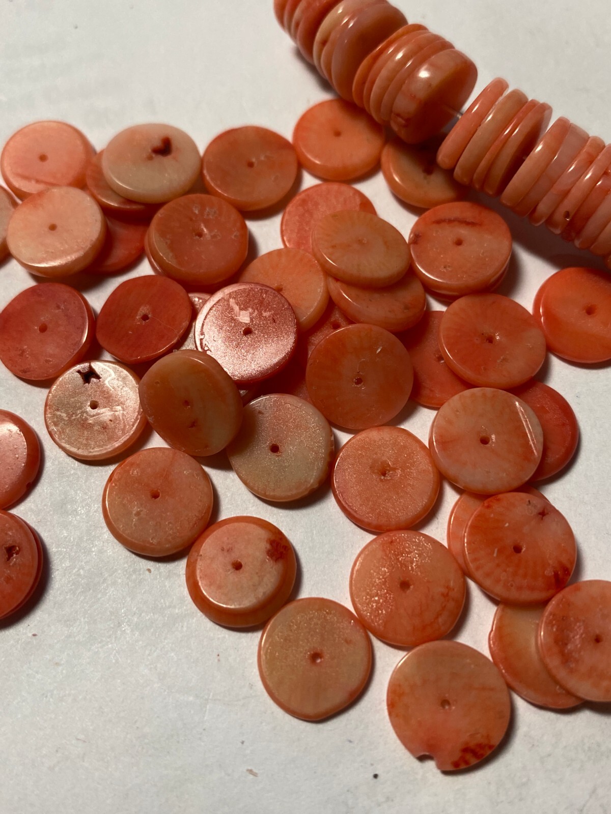 Bamboo Coral Beads 4mm to 28mm