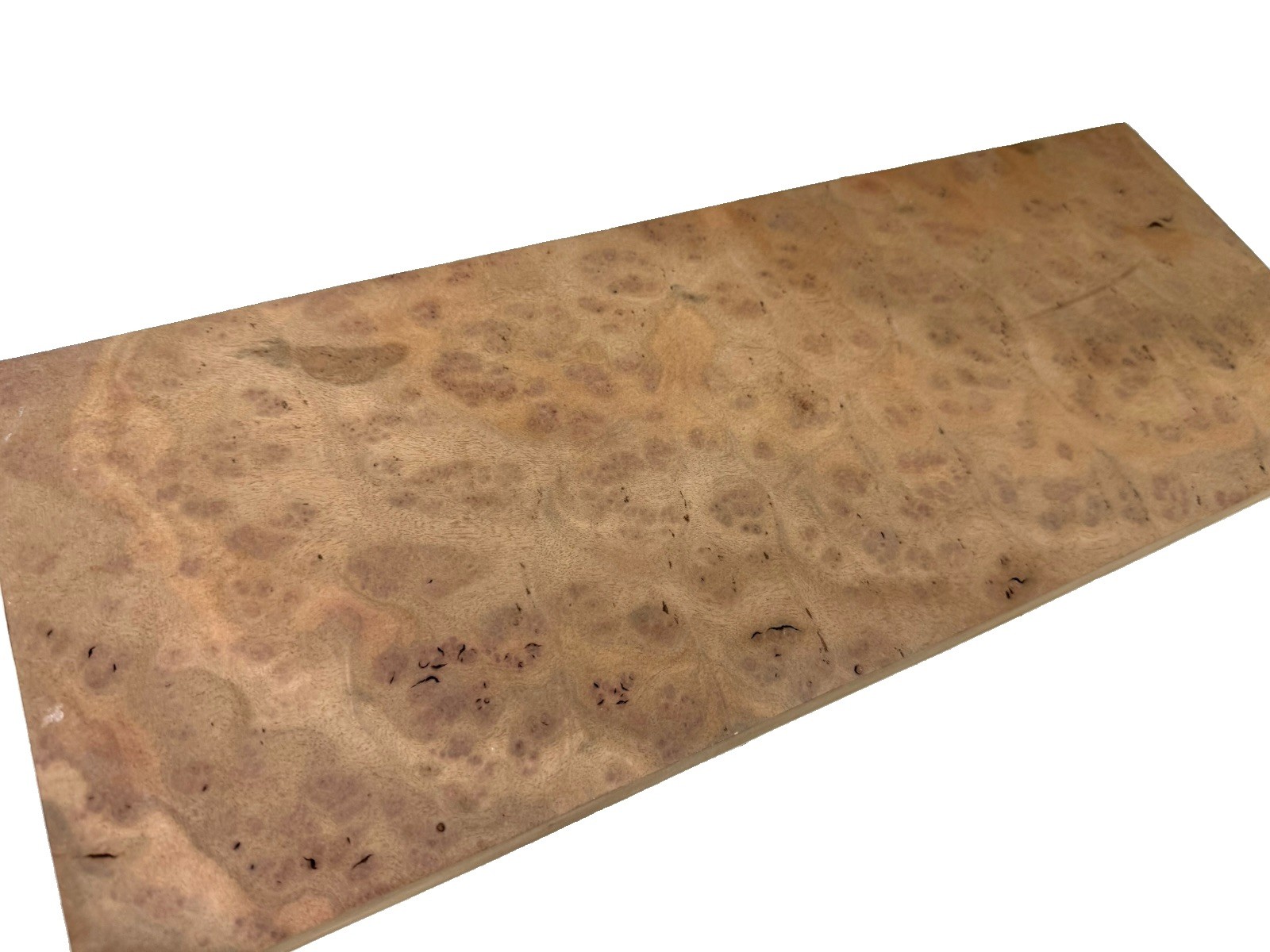Camphor Burl wood insrument blank 20″ x 7-3/8” x 2″ (v20) dried billet