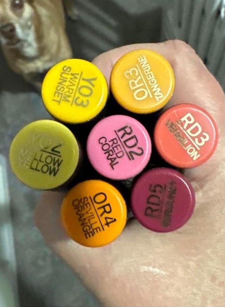 Chameleon Professional Alcohol Ink Markers, Set Of 7, Warm Colors,, Dual Tip