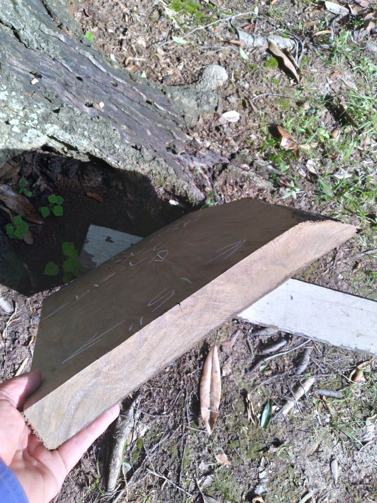 RETURNS ACCEPTED Old Growth Sinker Cypress Slab Craft Wood Kiln Dried FREE SHIPN