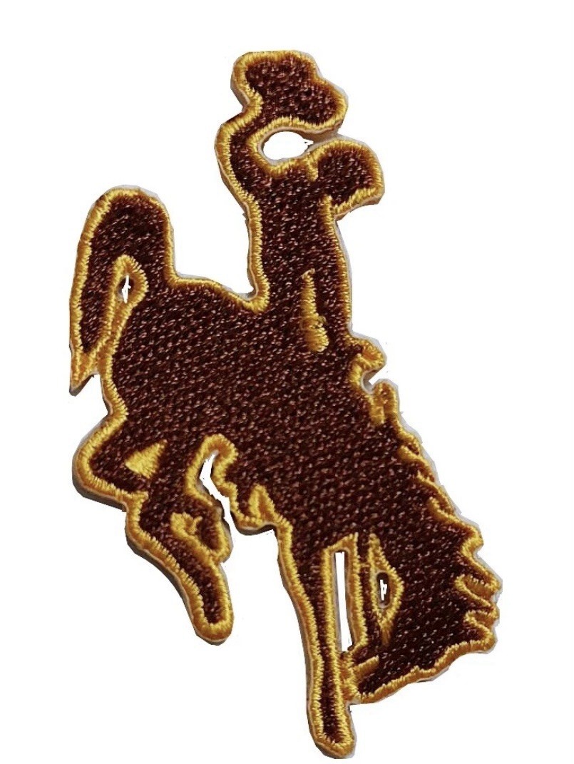Wyoming ☝️IRON ON PATCH 🏈 Cowboys USA SELLER 🇺🇸 D
