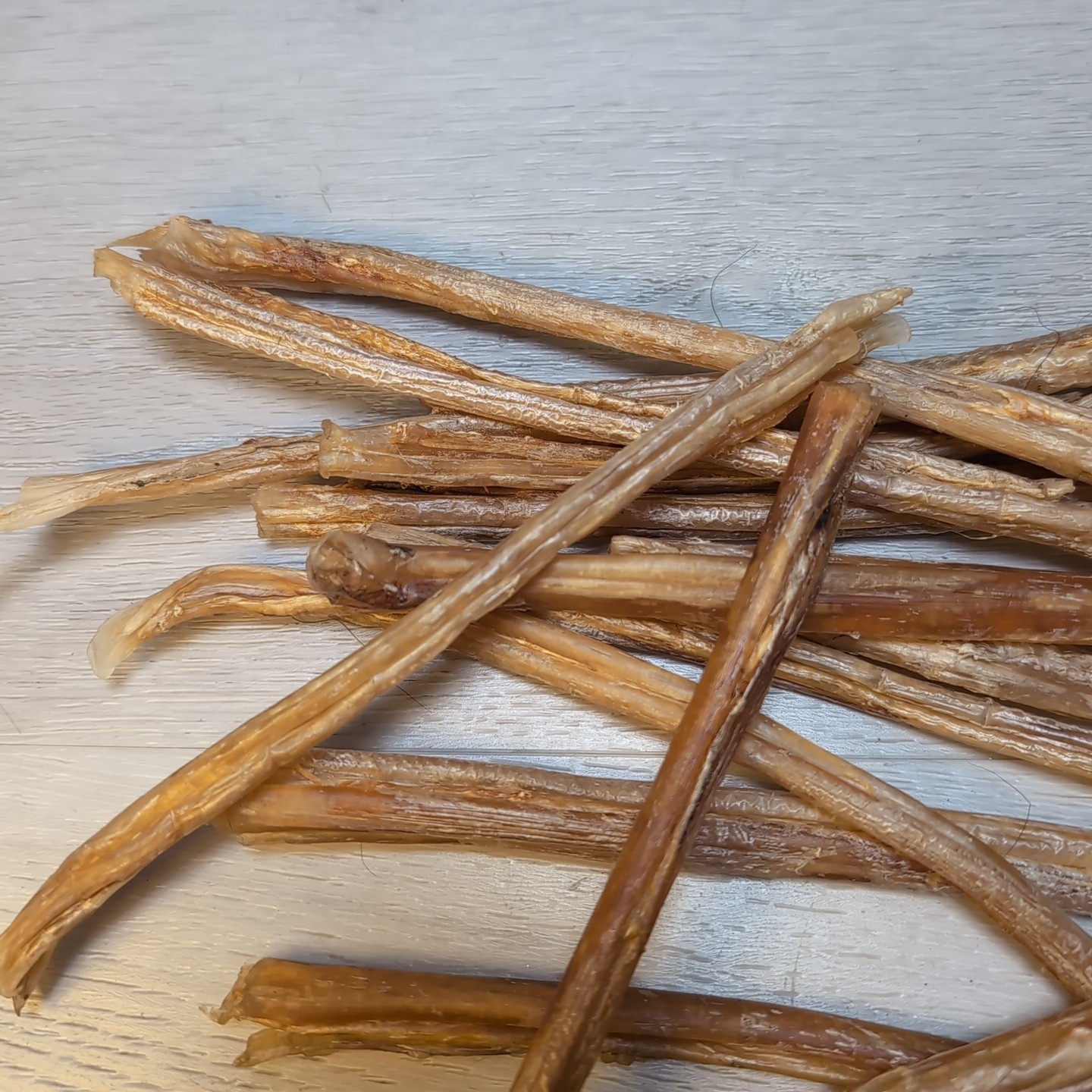 (Lot 15) Deer Leg Sinew Genuine Primitive Crafts Bow Arrow Native Authentic USA