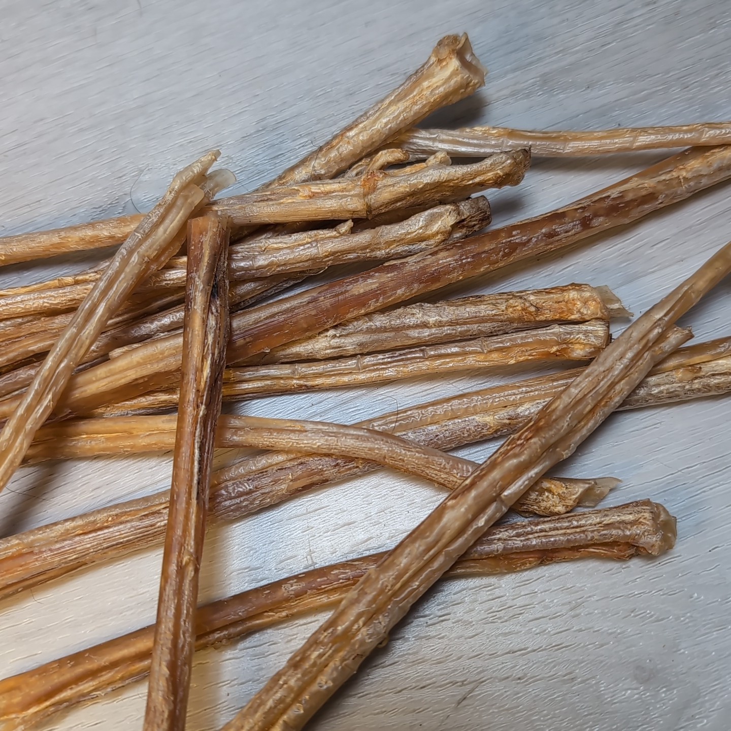 (Lot 15) Deer Leg Sinew Genuine Primitive Crafts Bow Arrow Native Authentic USA