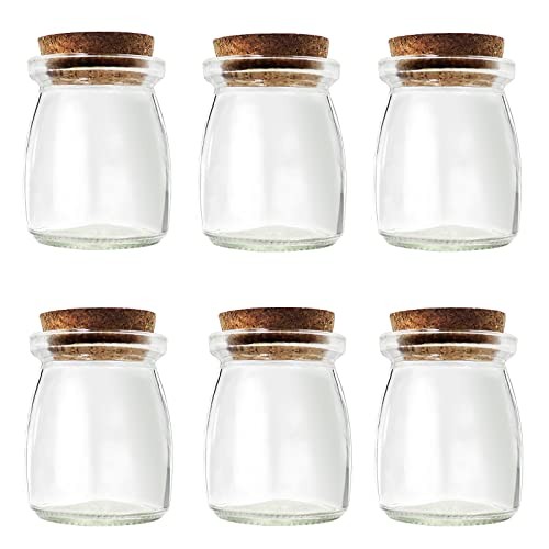 6Pcs Decorative Glass Bottle with Cork Stopper, 100ml,3.4oz Mini Glass Wish