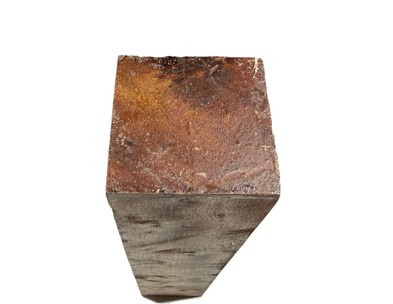 Camphor burl wood turning blank 2-15/16″ x 2-15/16” x 15″ (c36) Dried