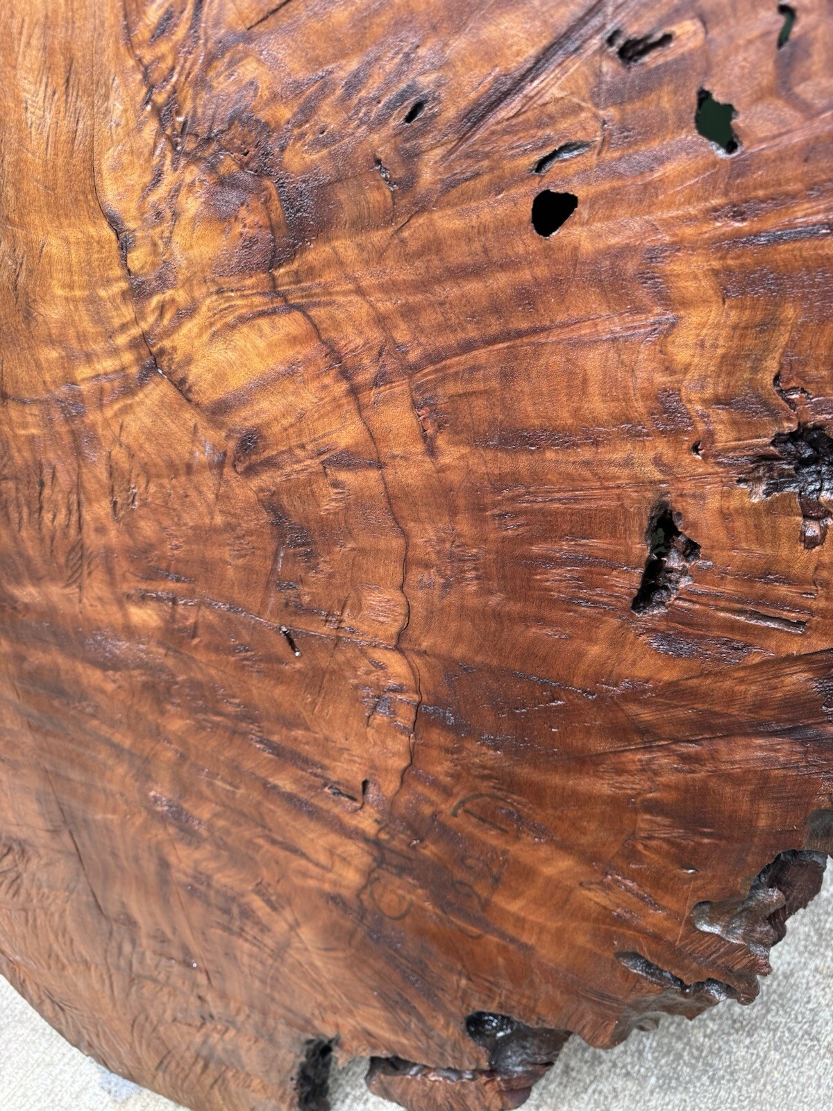 1296 Camphor burl wood turning blank ,hybrid Scale,Dried,52”x 27”x 2 1/4”