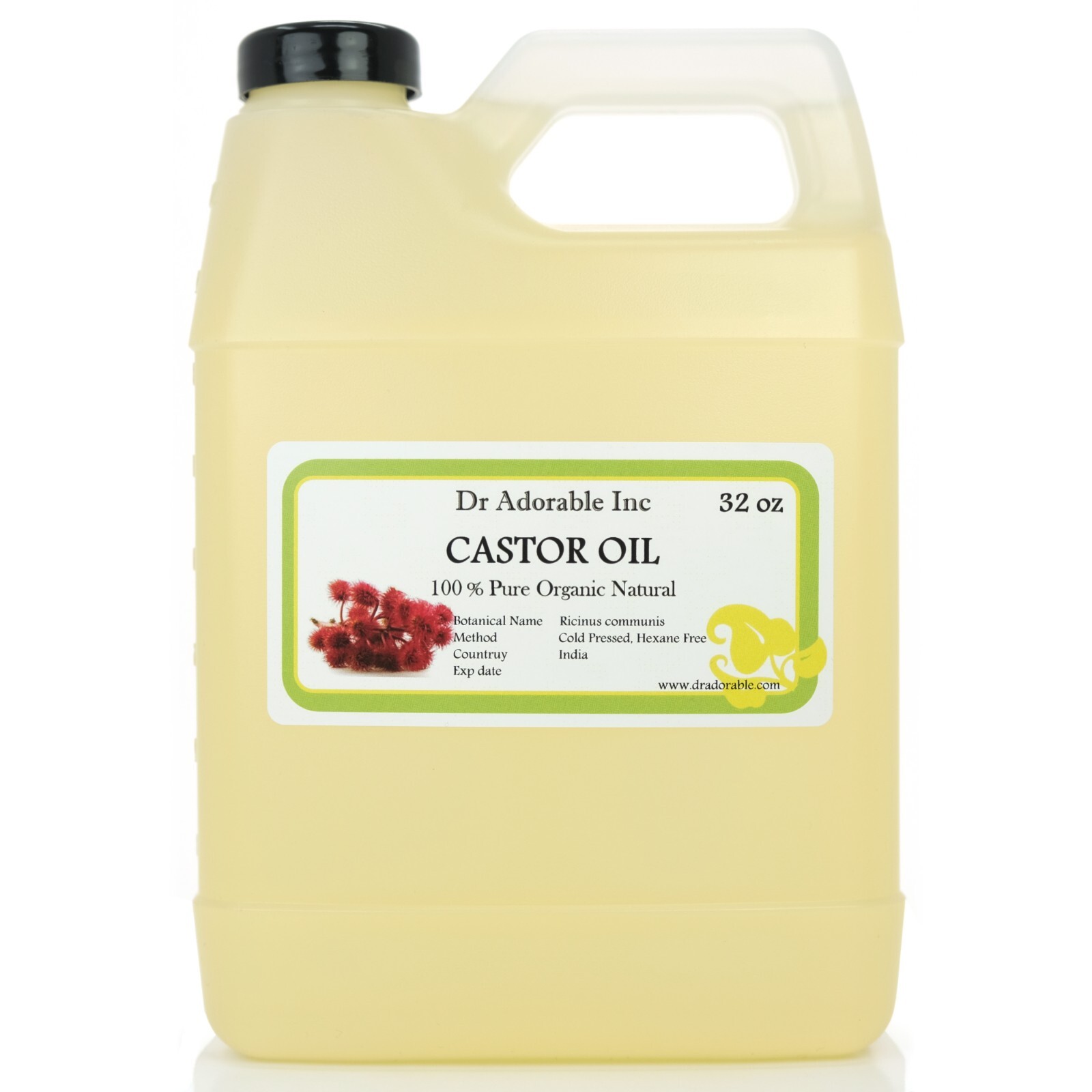 Pure Castor Oil 2 oz 4 oz 8 oz 16 oz up to gallon Free shipping Cold Pressed