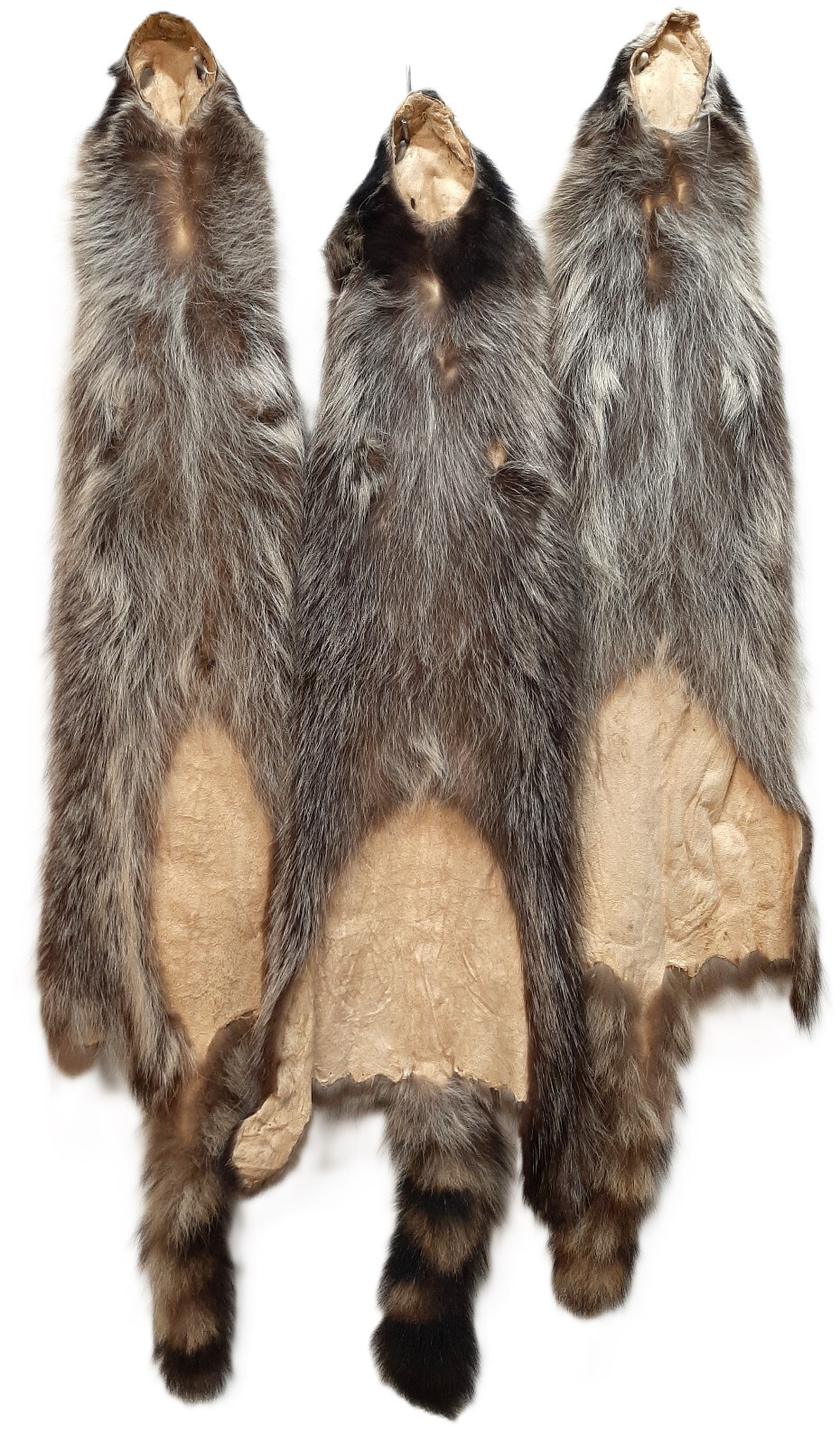 Soft Tanned Raccoon Medium Grade