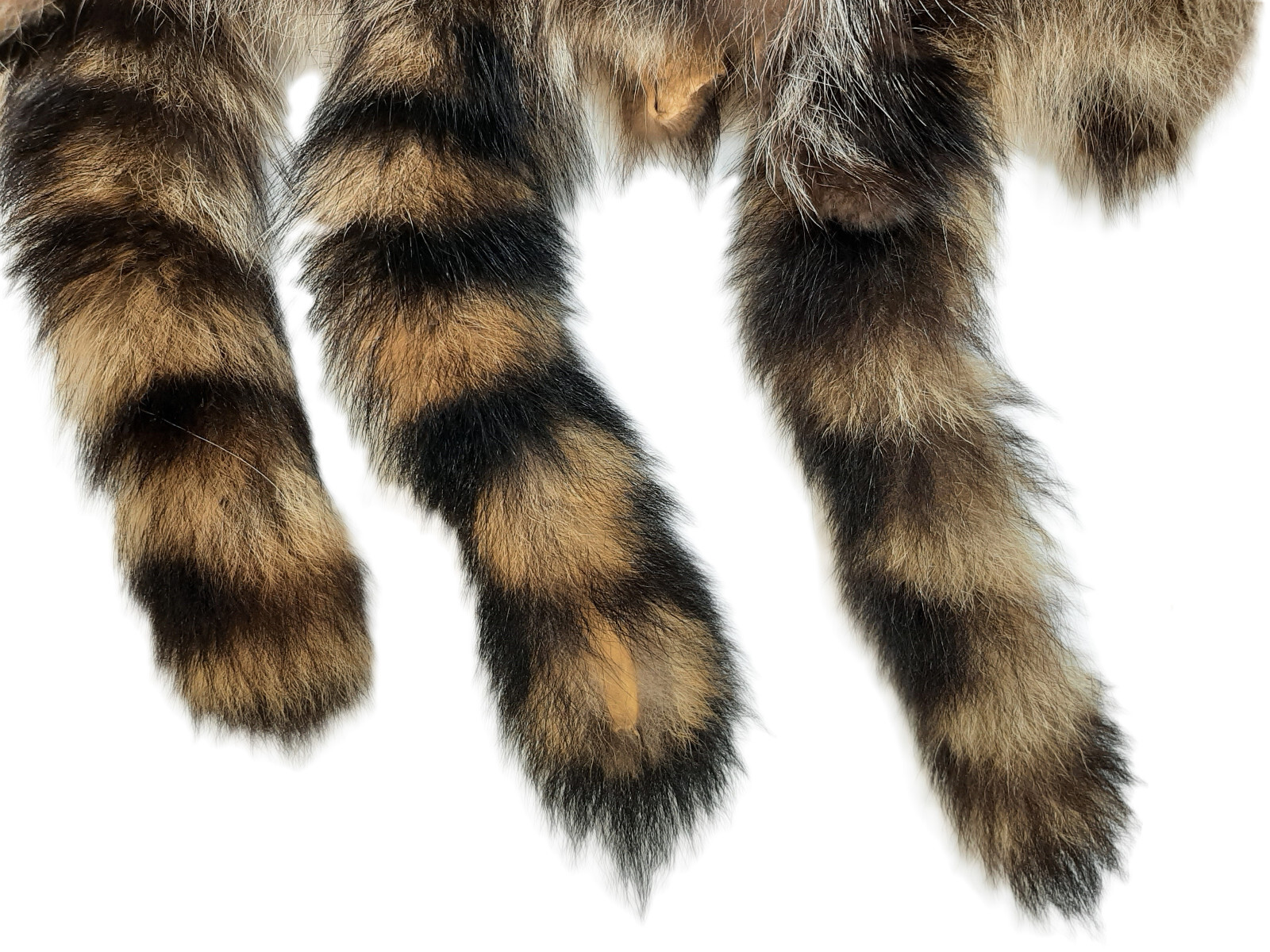 Soft Tanned Raccoon Medium Grade