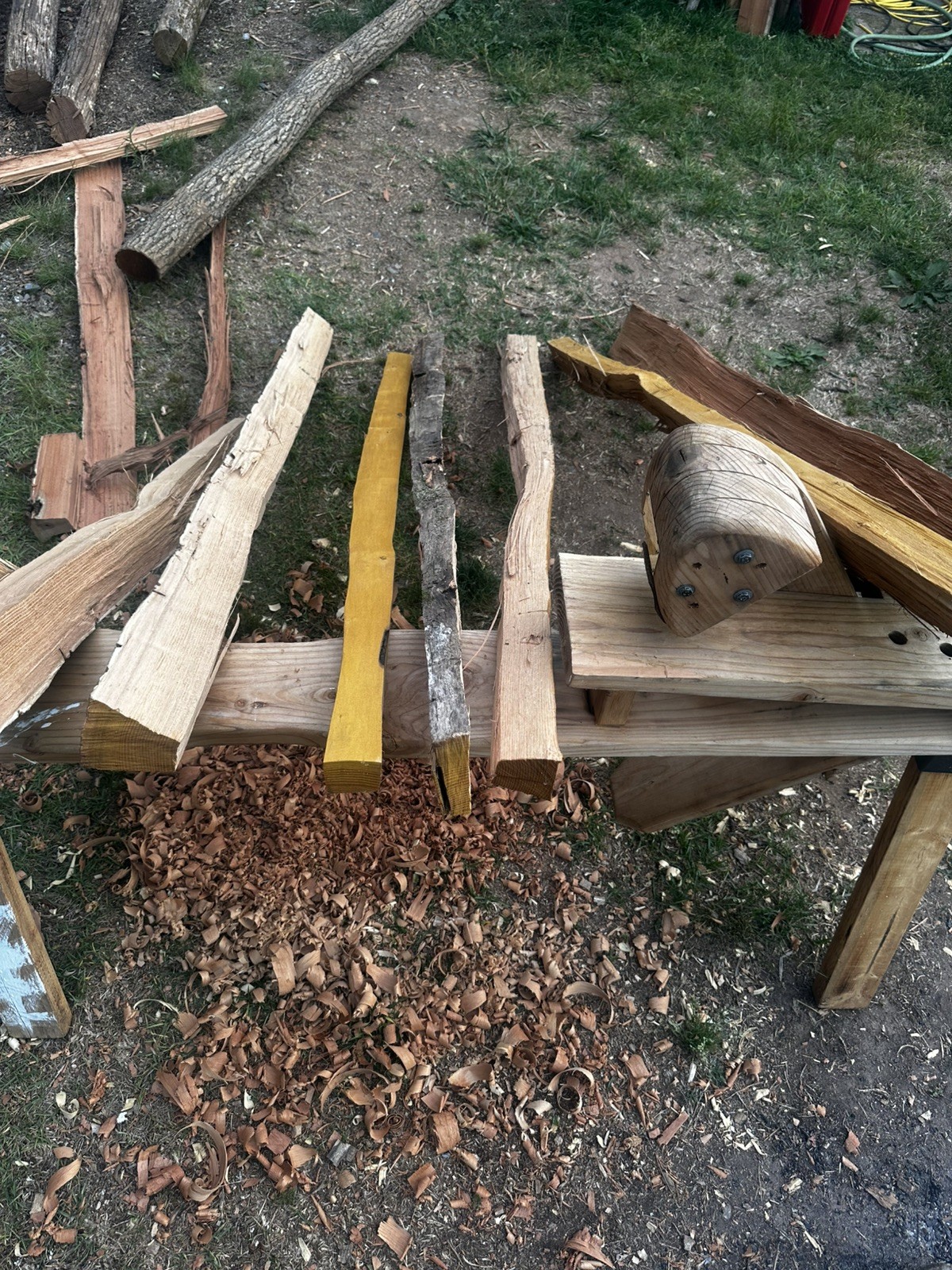 Premium Grade, Aged And Cured Black Locust Bow Staves