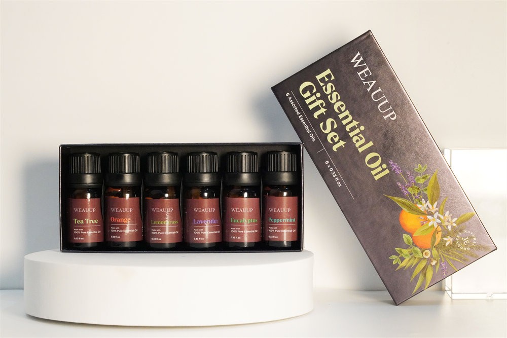 WEAUUP Premium Grade Fragrance Oil-Summer Time- Gift Set 6/10ml for Diffuser