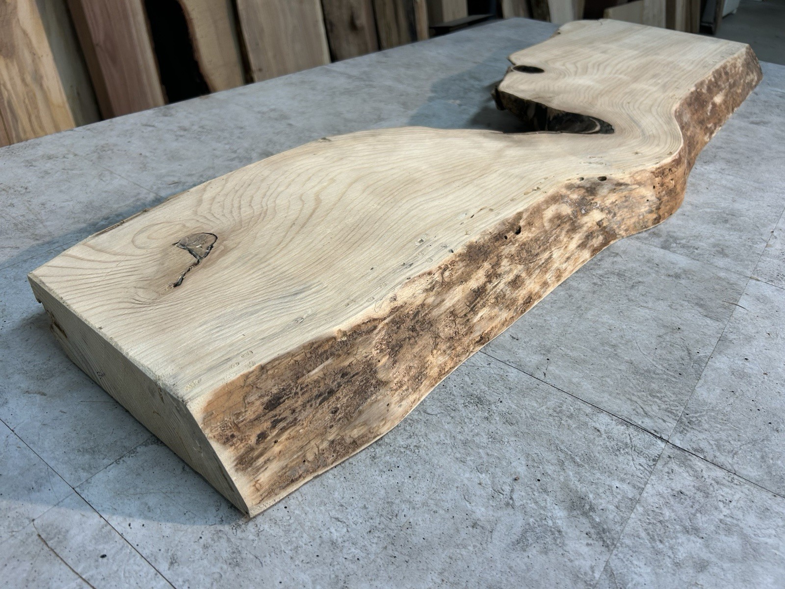 Gnarly Live Edge Pine Wood Slab/ Rustic Shelf or Mantle/Dried Wormy Pine Wood