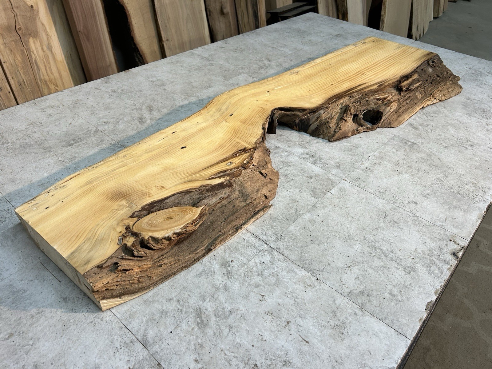 Gnarly Live Edge Pine Wood Slab/ Rustic Shelf or Mantle/Dried Wormy Pine Wood