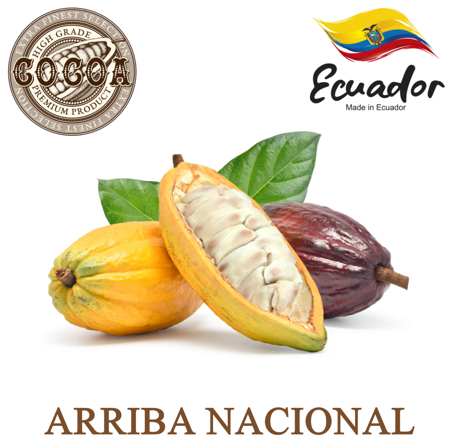 Raw Cocoa Butter 8 oz. 100% Pure Natural Unrefined Organic FOOD GRADE Cacao Bean