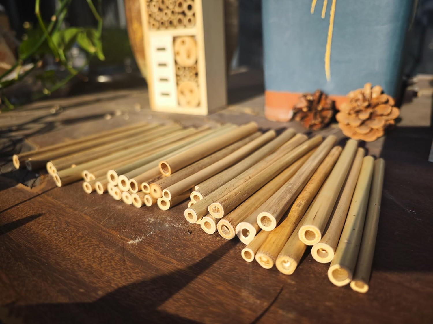 Bamboo Craft Tubes – 100 Count, 5″ Eco-Friendly Sticks for DIY Bee Hotels, So…