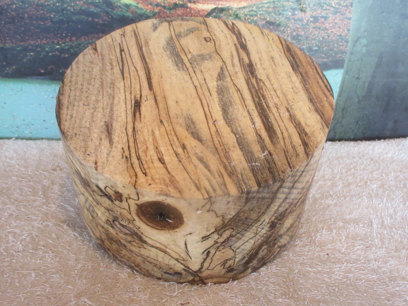 SPALTED HACKBERRY 8 x 4 1/4 TURNING WOOD BOWL BLANK