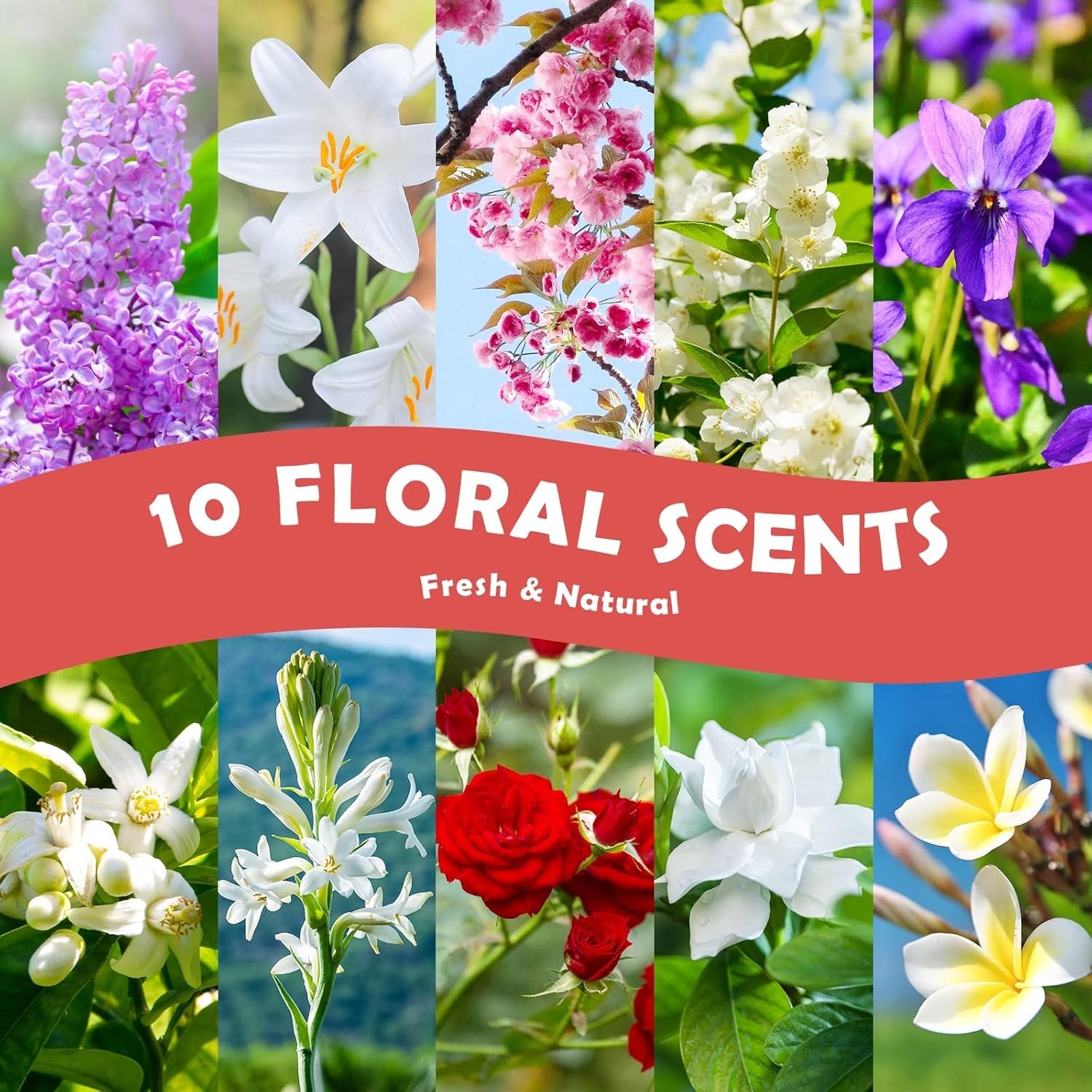 Floral Essential Oils, Fragrance Oil for Candle Making, 5mlx10, Soap Making …