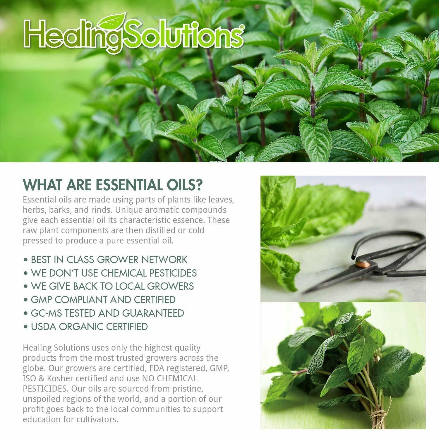 Healing Solutions Organic 10ml Oils