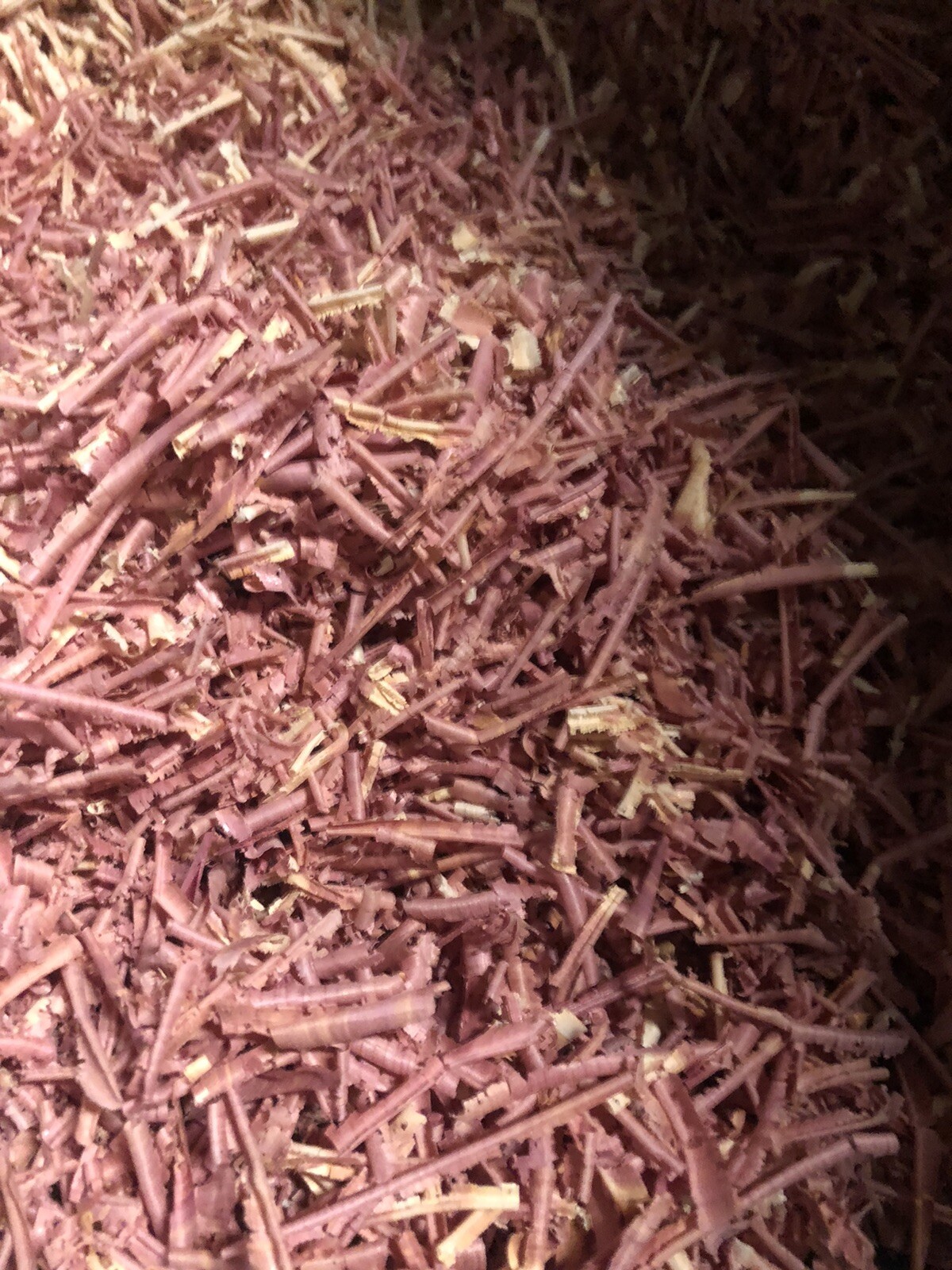 Red Cedar Wood Chips, Shavings, Aromatic Eastern Red Cedar -1 Ounce-