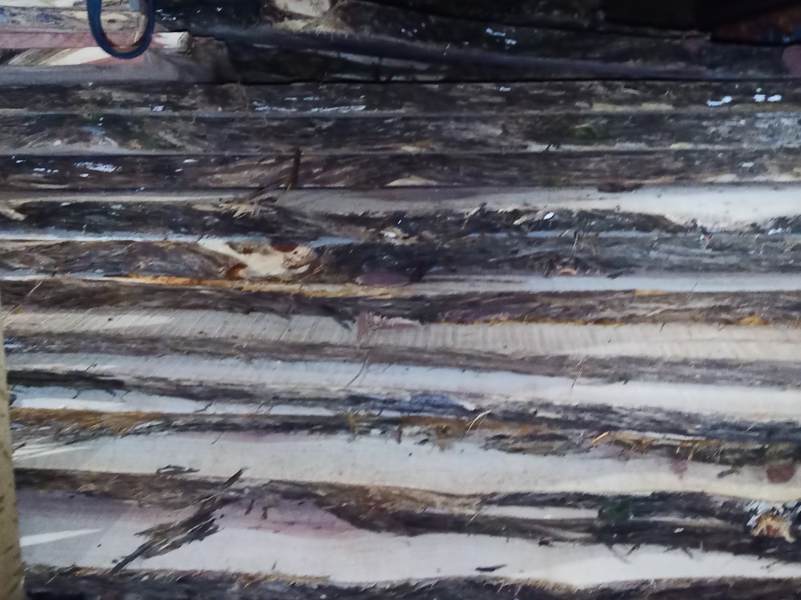 RED AROMATIC CEDAR Milled Live Edge SLABs 1/2in Thick 15 Pounds Ships Free!