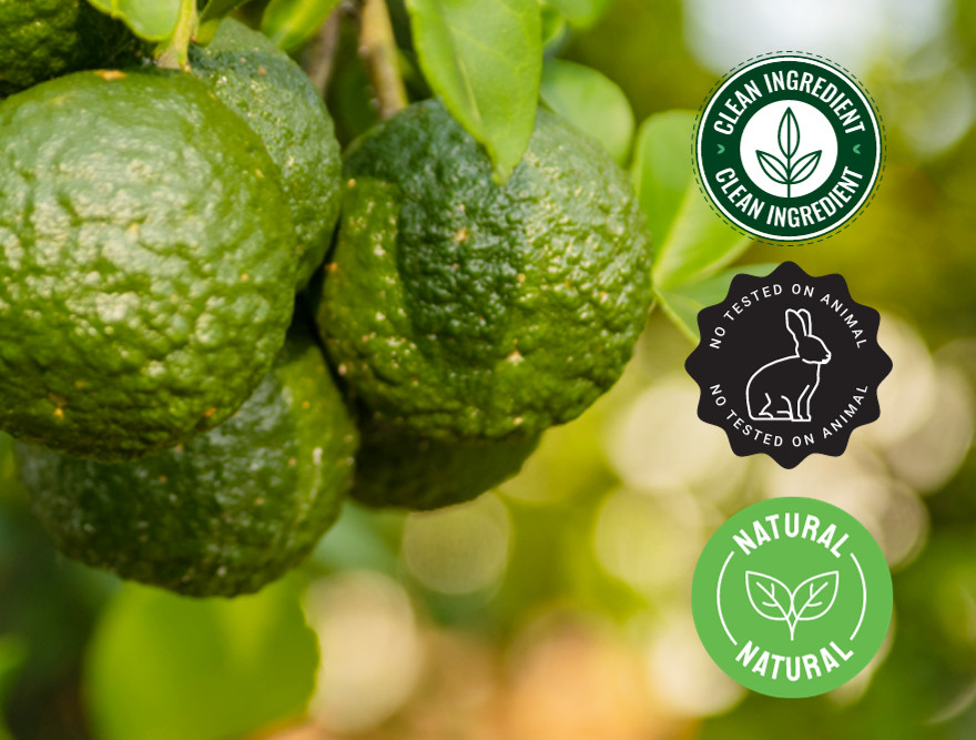 1 fl oz Bergamot Essential Oil (100% Pure & Natural) – GreenHealth