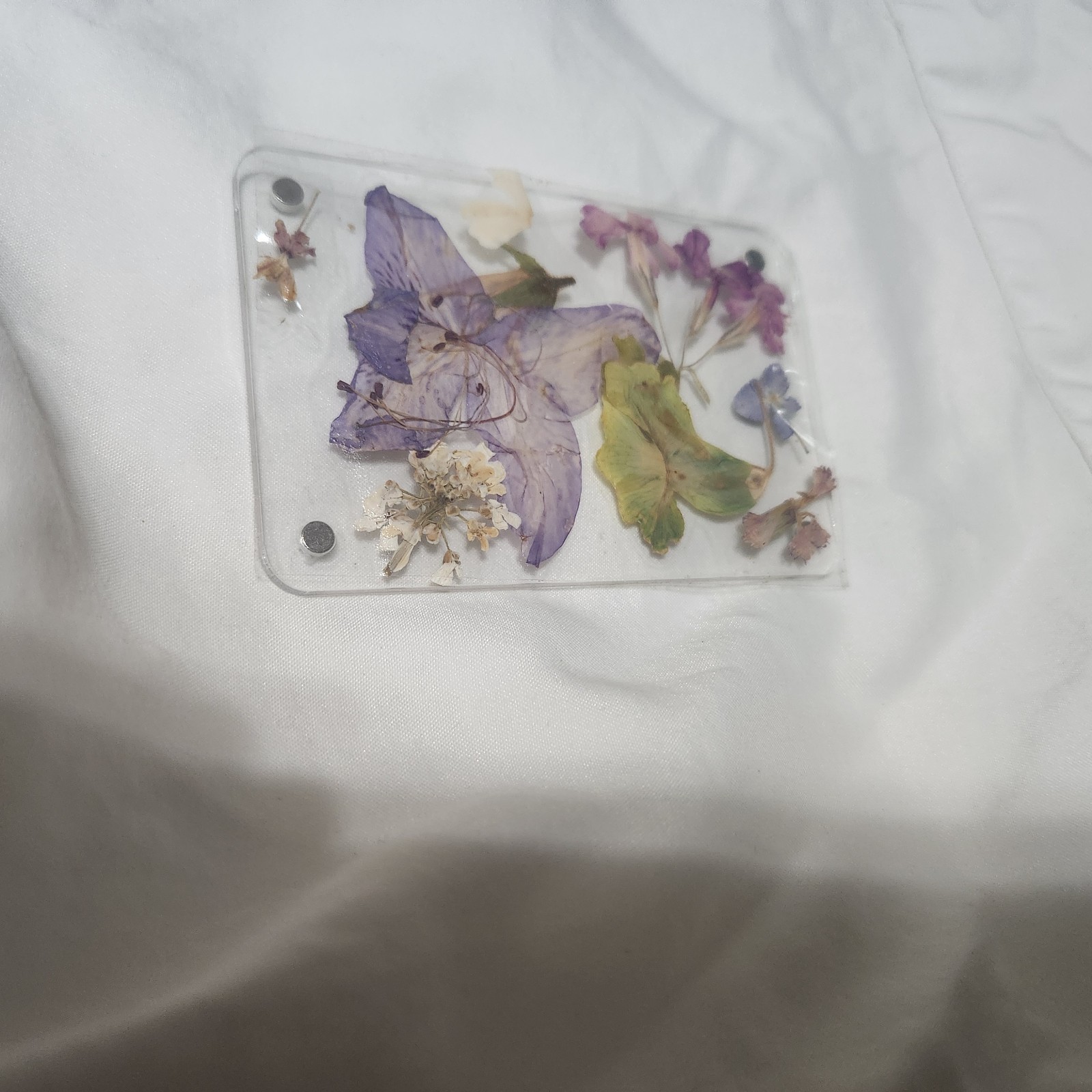 Assorted Pressed Dried Flowers Clear Resin Cards Multiple Plant Parts