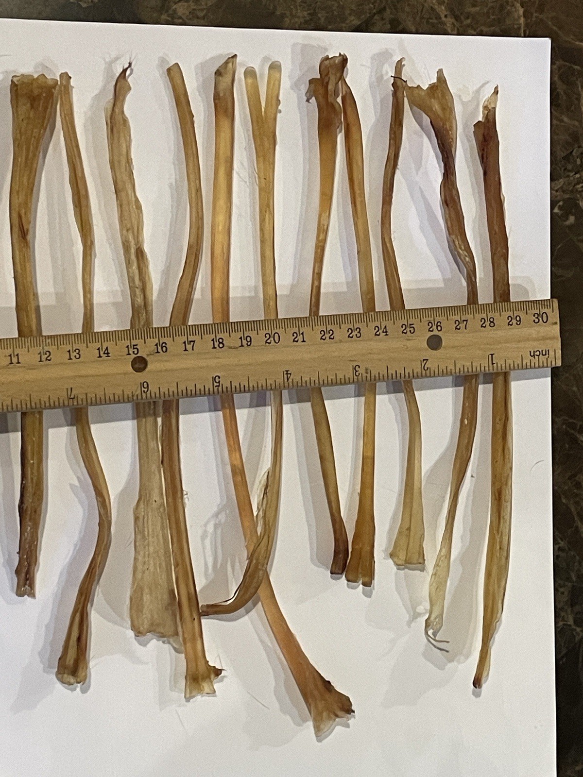 Deer Leg Sinew 11 Pieces Genuine Primitive Crafts Bow Arrow Native Authentic US