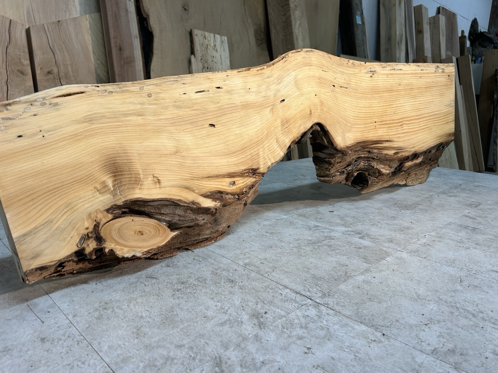 Gnarly Live Edge Pine Wood Slab/ Rustic Shelf or Mantle/Dried Wormy Pine Wood