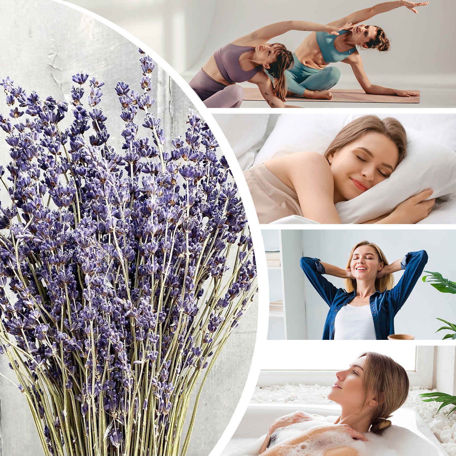 Dried Lavender 3 Bunches Fresh Natural Purple Flowers for Bathroom Photo Props