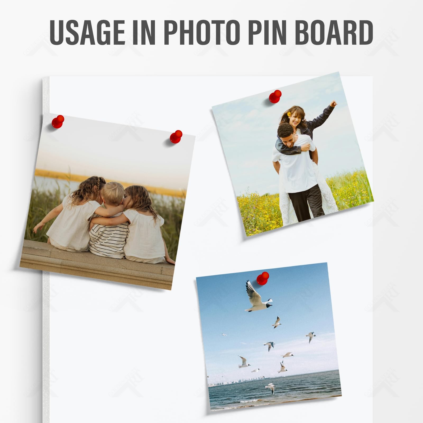 Acid-Free 12 Pack 13×19 White Foam Board Sheets 1/8 Thick Poster Photo Mounting