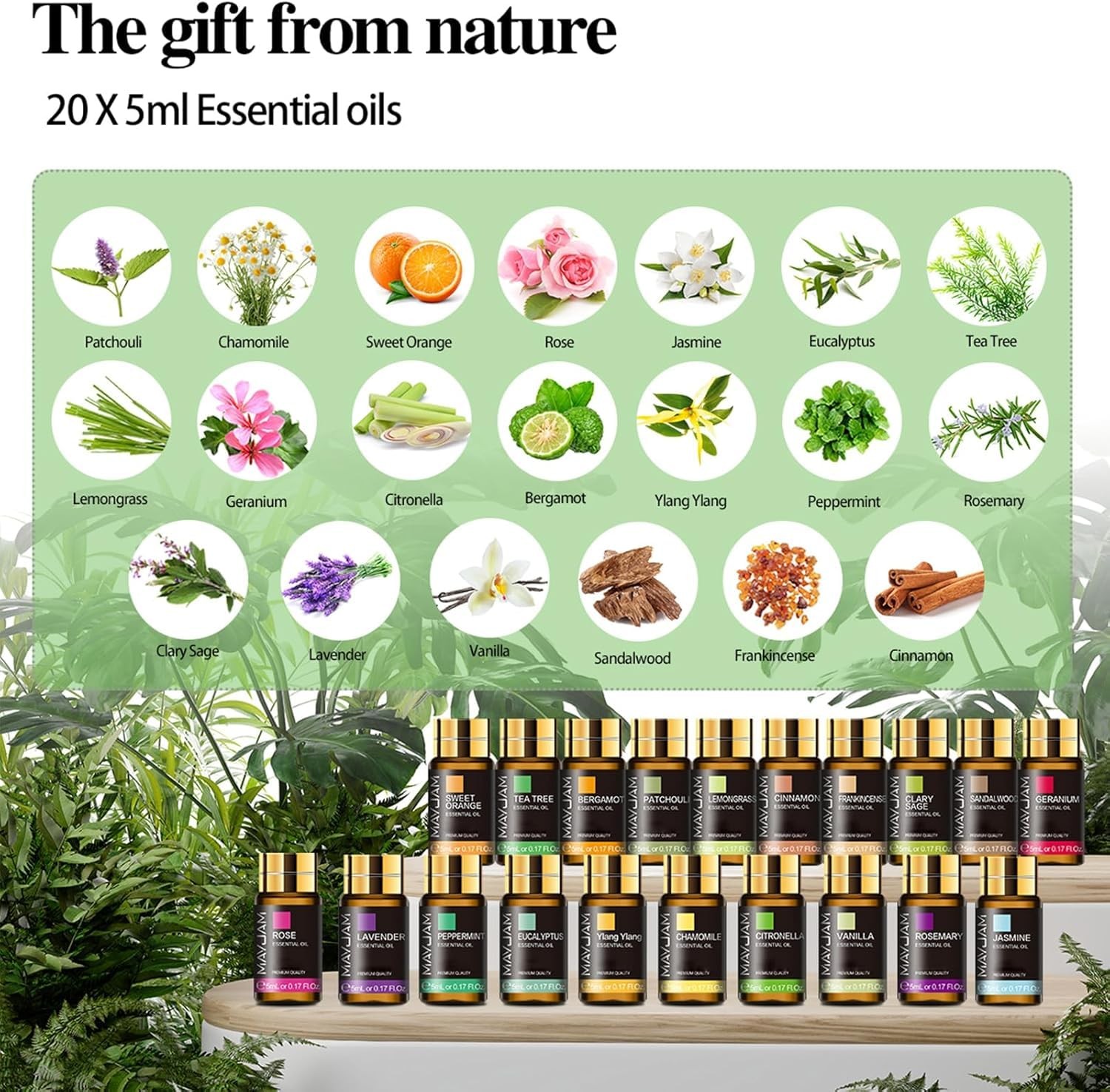 MAYJAM Tea Tree 20 Pcs Pure Essential Oil Gift Set, 3.38 Fl Oz (Pack of 1)