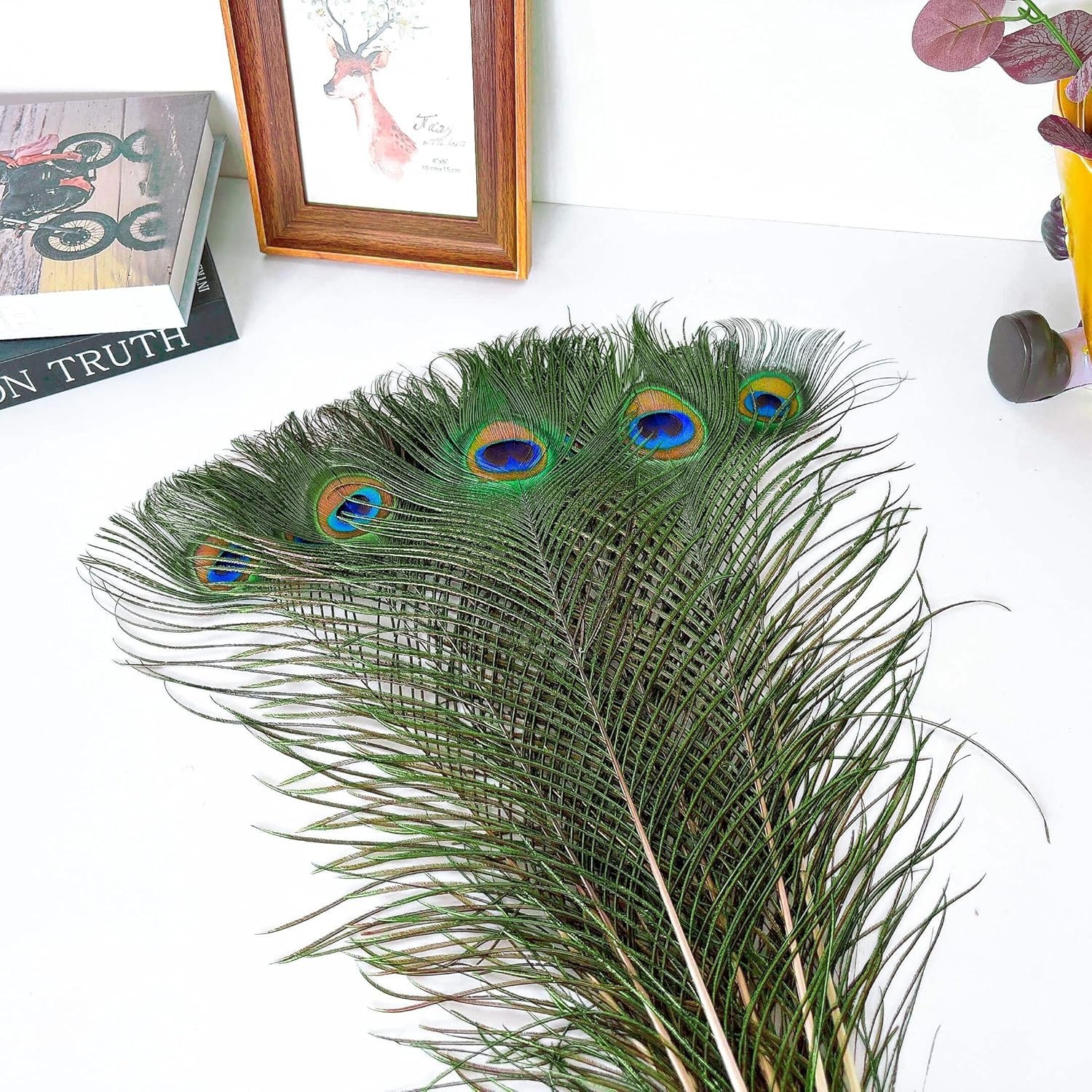 Cruelty-Free Peacock Feathers (10 Pcs, 16-18 Inch) for Festive Decorations