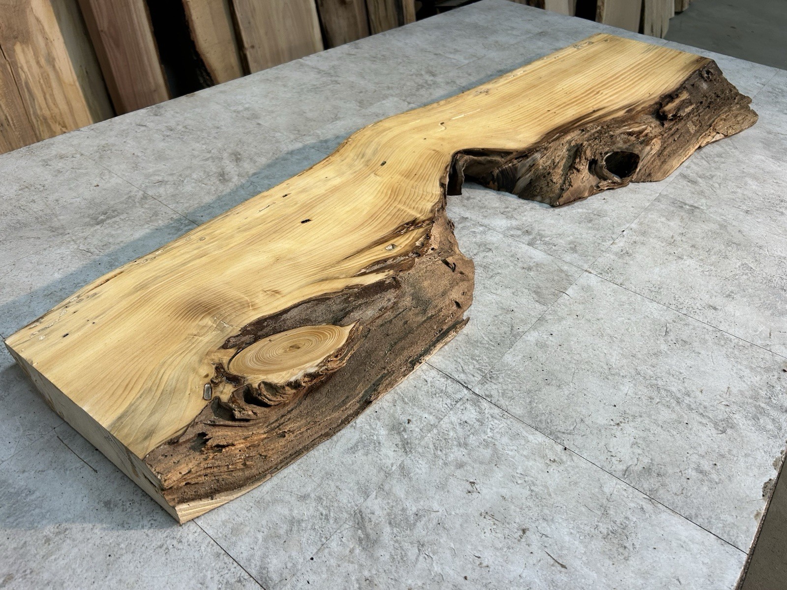Gnarly Live Edge Pine Wood Slab/ Rustic Shelf or Mantle/Dried Wormy Pine Wood
