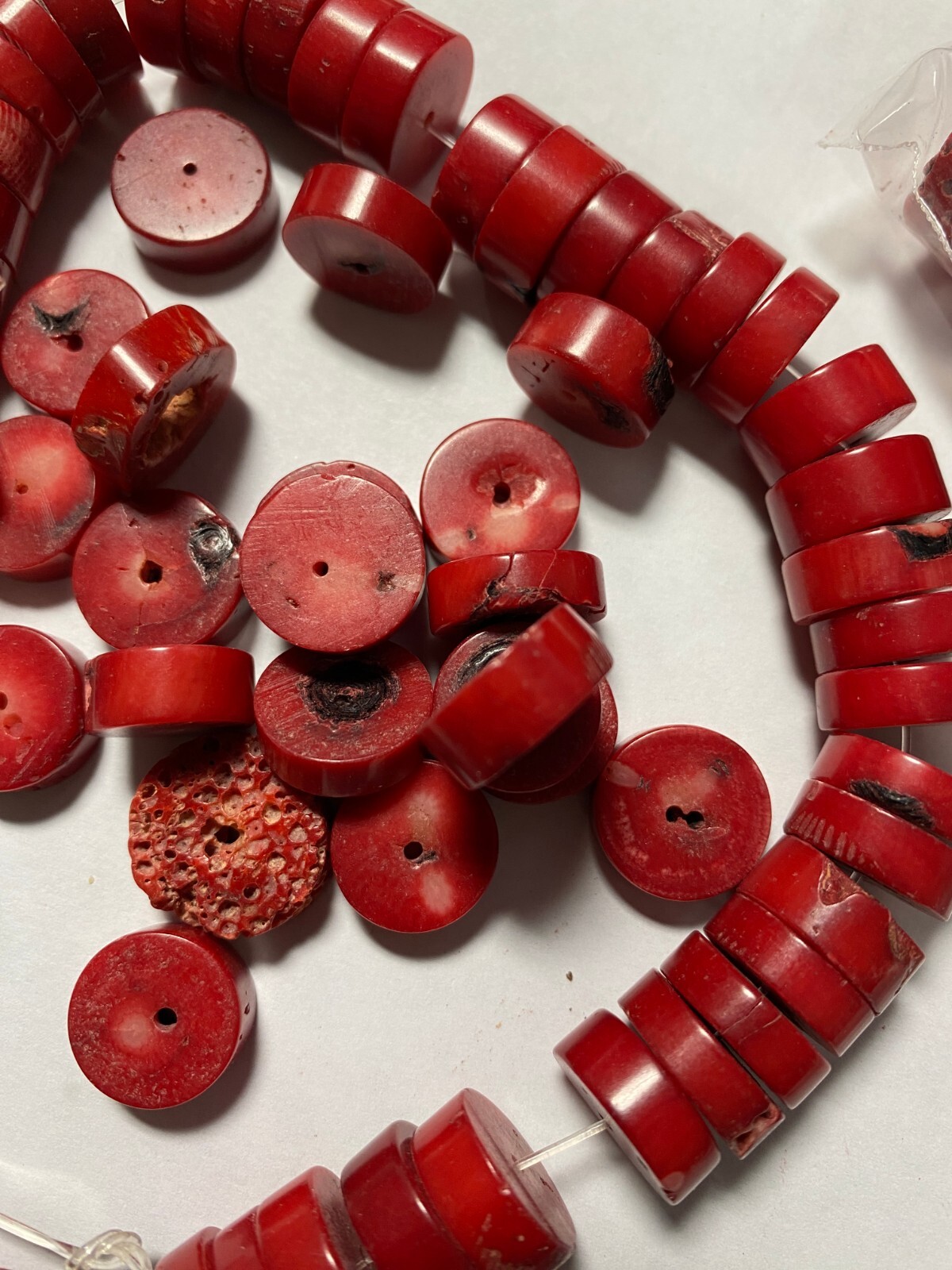 Bamboo Coral Beads 4mm to 28mm