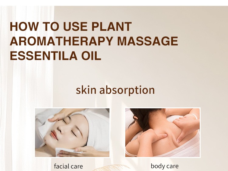 10 ml of Pure Botanical Aromatherapy Essential Oil for Use in a Humidifier