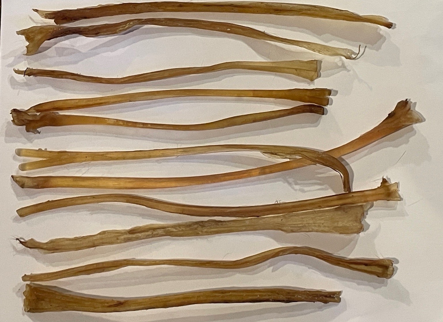 Deer Leg Sinew 11 Pieces Genuine Primitive Crafts Bow Arrow Native Authentic US