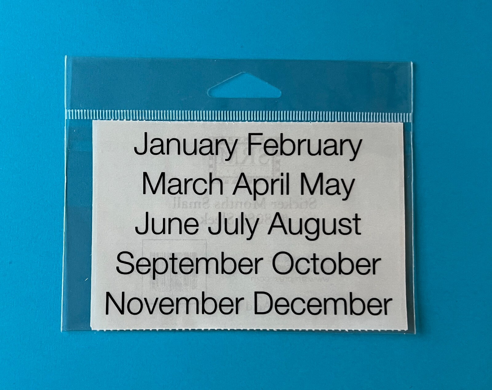 New Month Stickers Calendar Planner 1 Sheet 12 clear & black SRM Press